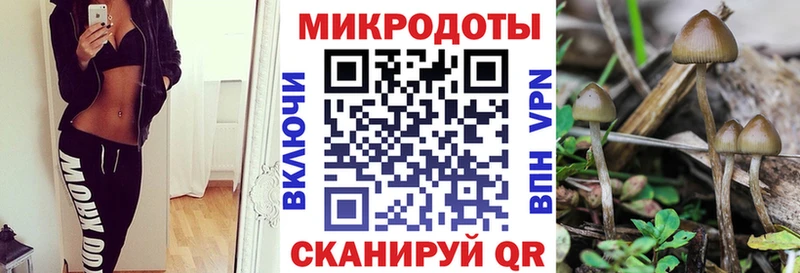 блэк спрут ONION  Камешково  Псилоцибиновые грибы прущие грибы 
