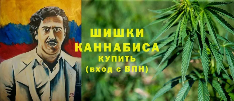 Шишки марихуана OG Kush  Камешково 